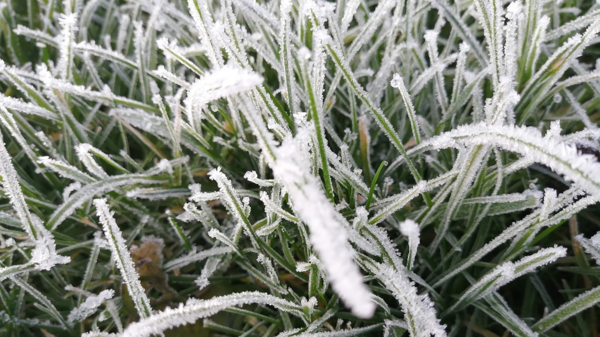 Residents Portal Now Live